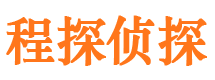 盘龙侦探公司